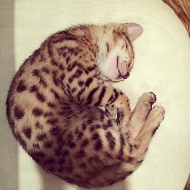 My little sleepy girl......