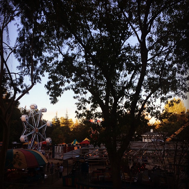 The fair! ...