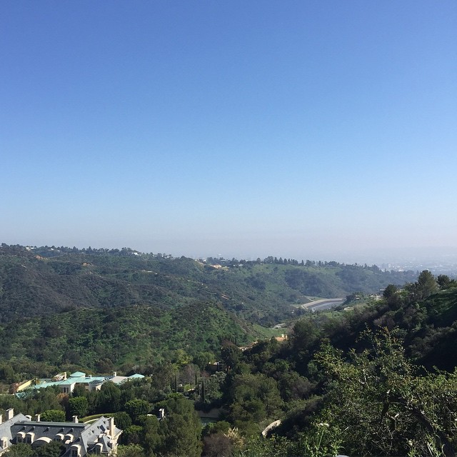 LA Dayz....