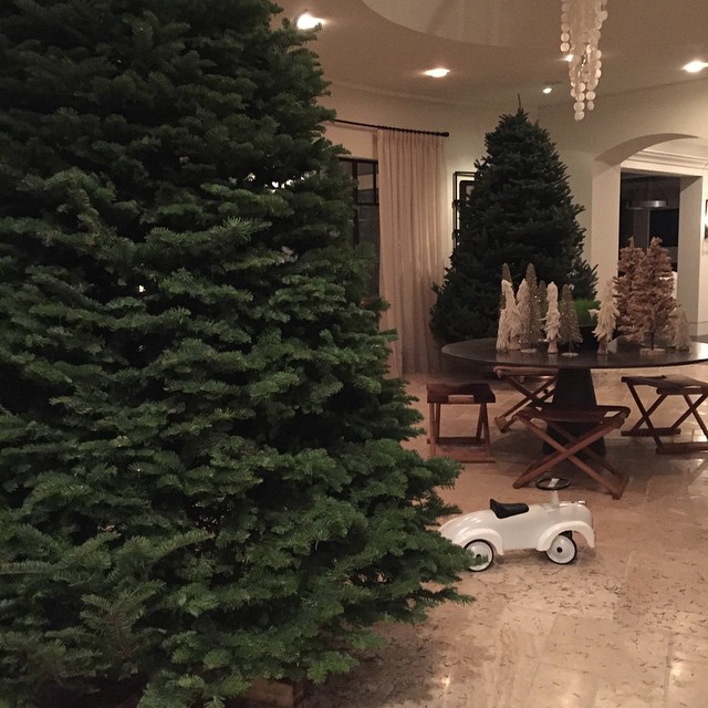 Trees are here! Smells like Christmas! ...