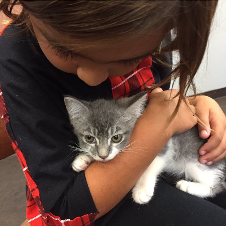 So many cute babies today. Getting an education on why it is important to adopt ...