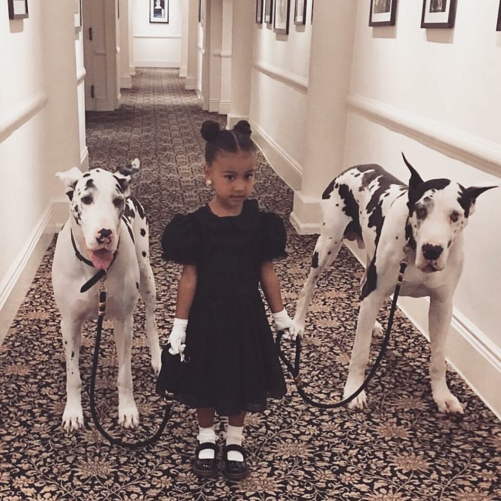 My little princess! I love having these memories. Thank you @stevenkleinstudio f...
