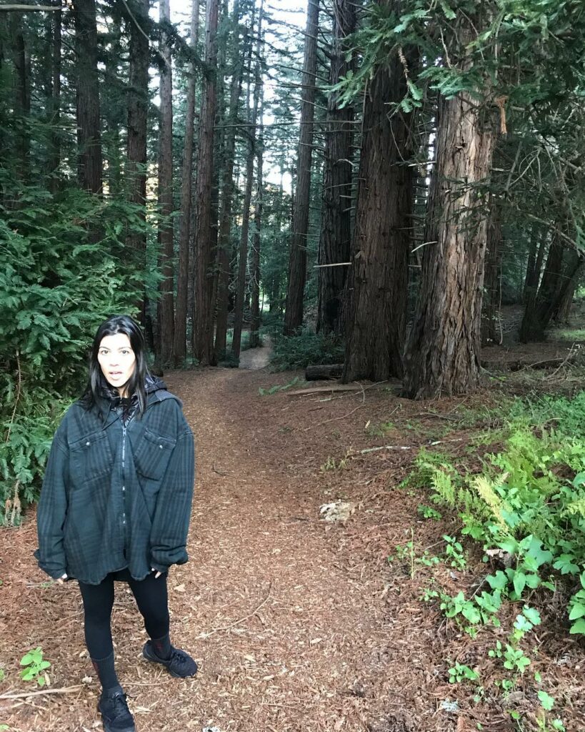 I think I found the Big Bad Wolf ...