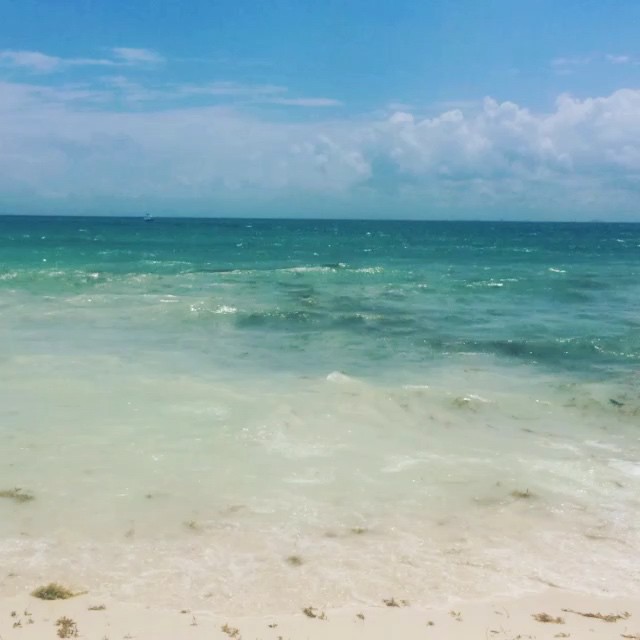 Todos a ver mis vídeos y leer mi blog !!!! en donde ? Pero si ya saben! www.fwtv...