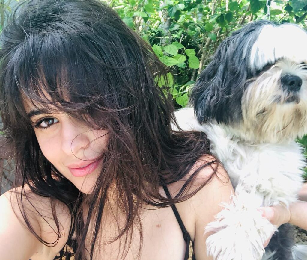 Leo and I wanna thank you for voting for me as favorite Latin crossover artist a...
