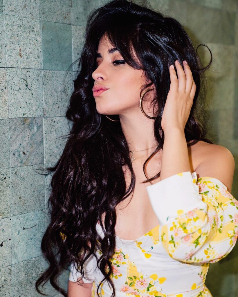 just a regular shmegular degular girl from havana...