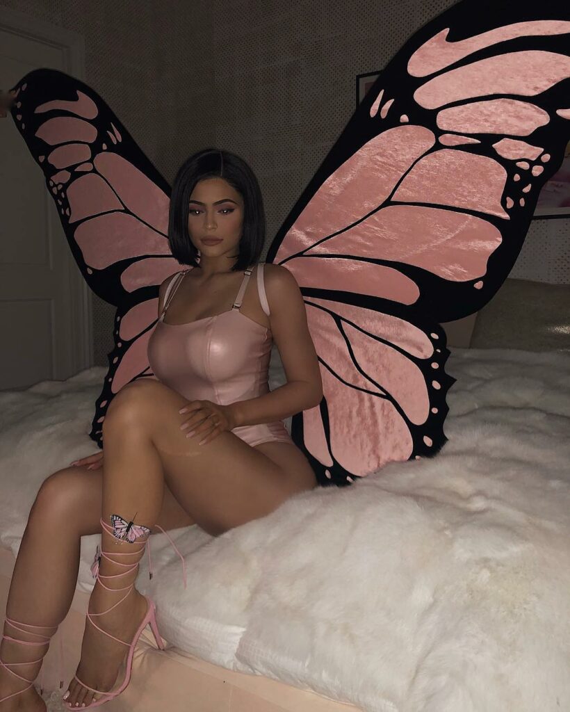 Butterfly Effect ...