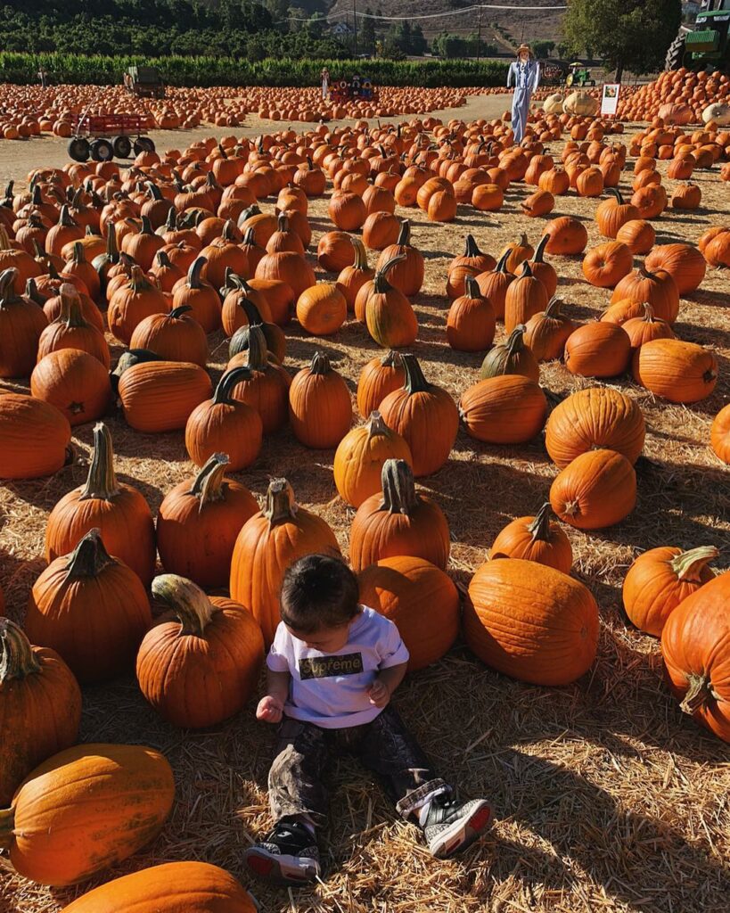first pumpkin patch ...