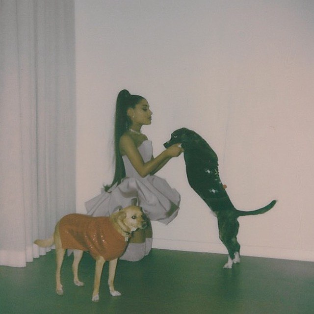 forgot to thank myron and toulouse for being the realest bitches i’ve ever known...