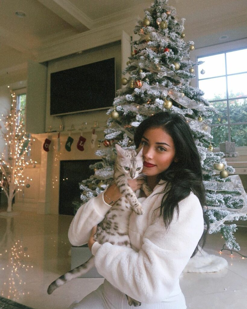 merry Christmas from my cat lady house  @superdown...