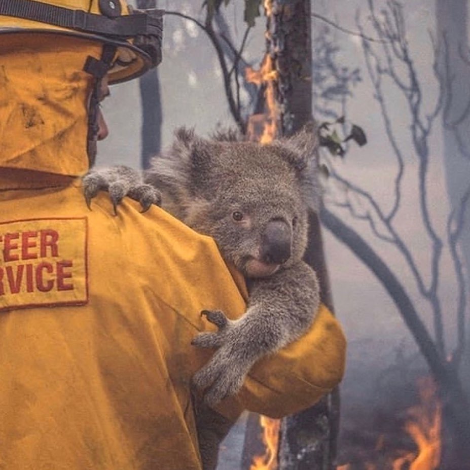 My thoughts are with of all those affected by the devastating Australian bushfir...