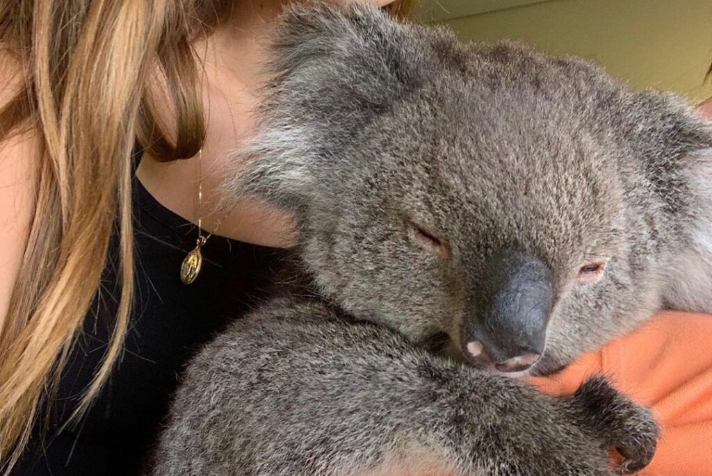 please please take two minutes to reach out to our neighbors in Australia. I put...
