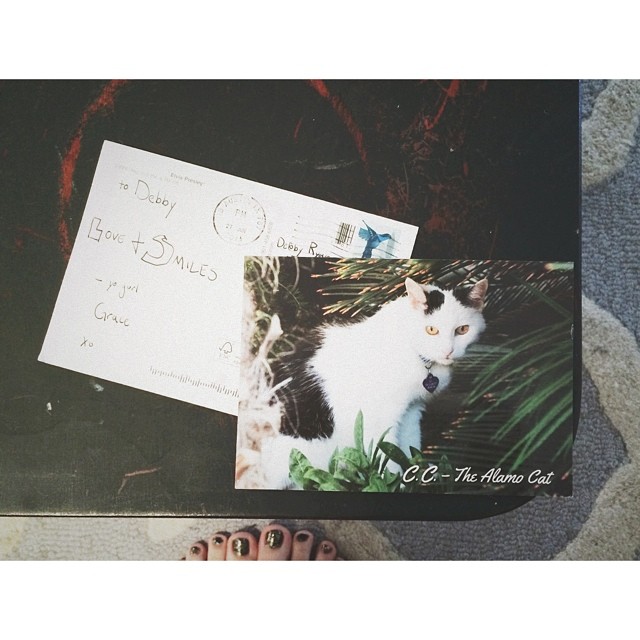 cat. postcards. from Texas. 
this girl @grace_phipps gets me ...