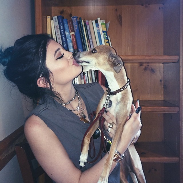 Thank you to the nice man that let me hold and cry and kiss his dog ...