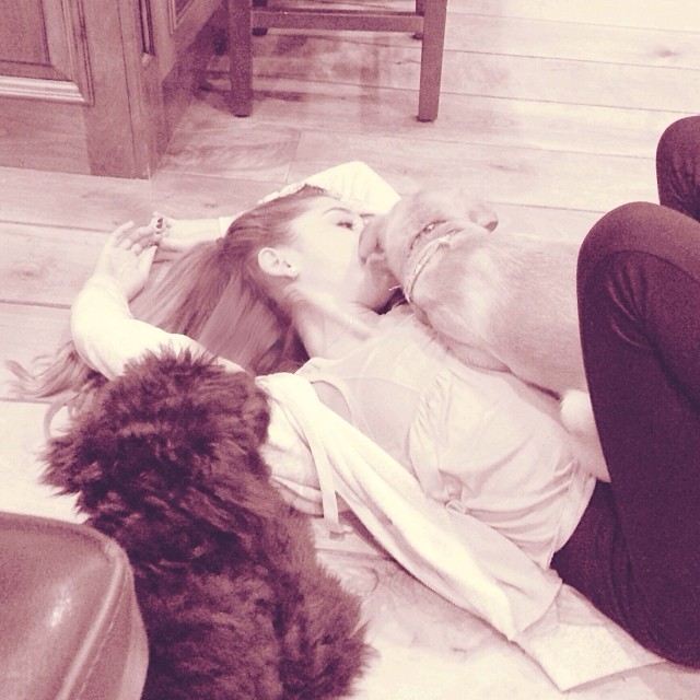 3am puppy moments. just got home from the studio. night errrbody...