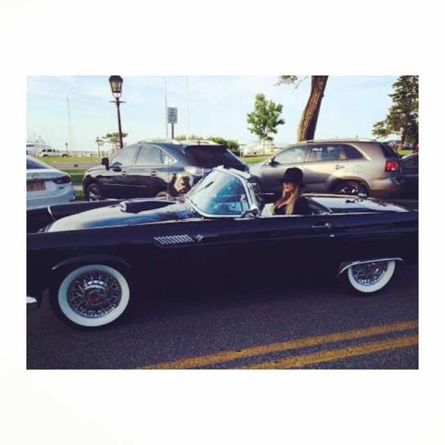 Thunderbird...