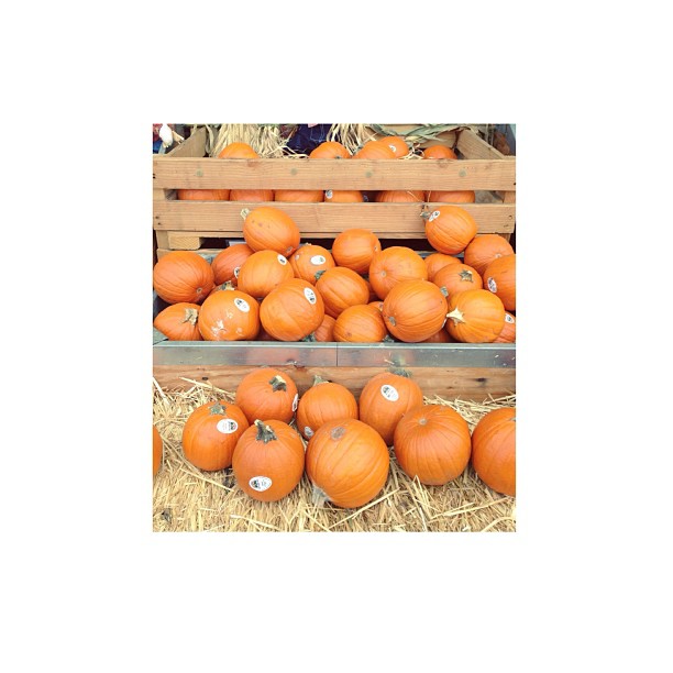 It's a Whole Foods Halloween hope everyone's having a good one!...