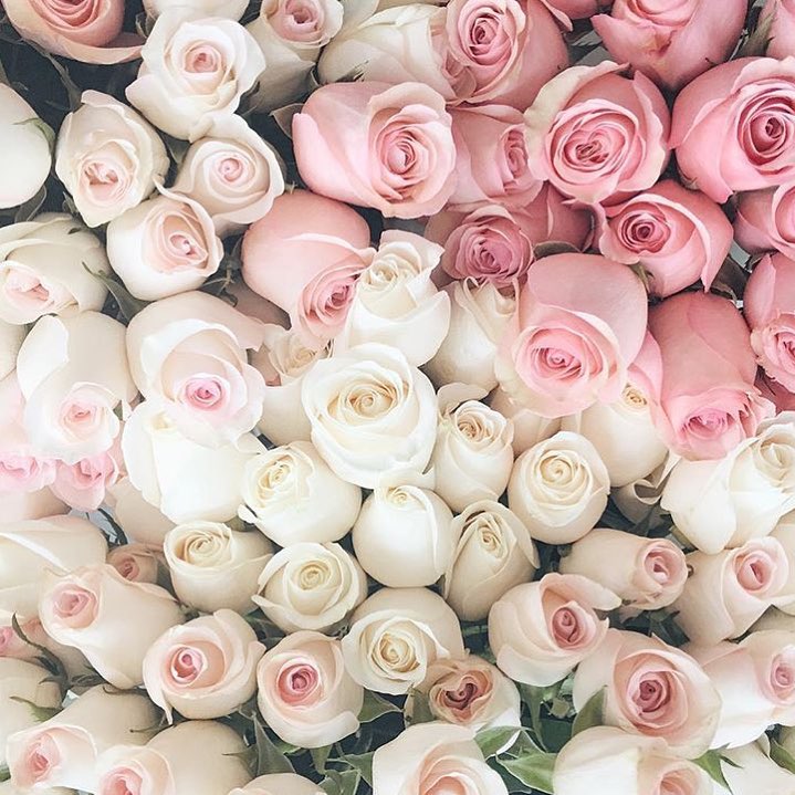 Sunday type of LOVE ...