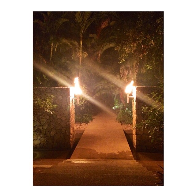 Welcome to the jungle ...