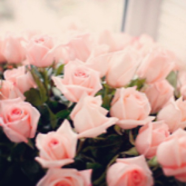 "A flower cannot blossom without sunshine, and a man cannot live without love." ...