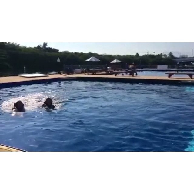 Double dolphin ride  with @kristennoelgipson Thank you Vallarta Adventures for t...