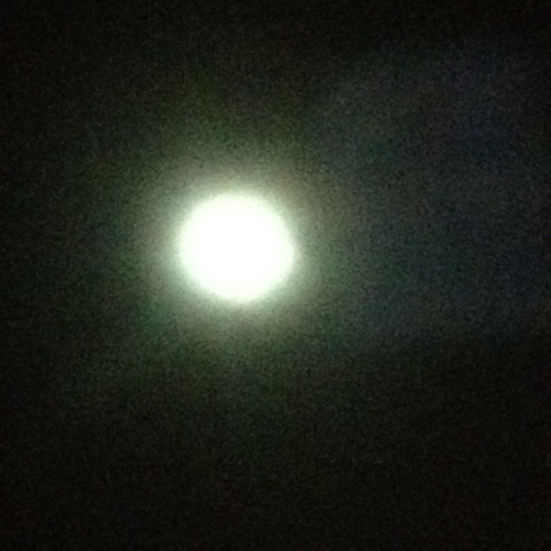 It must be a full moon, feel like one of those nights...