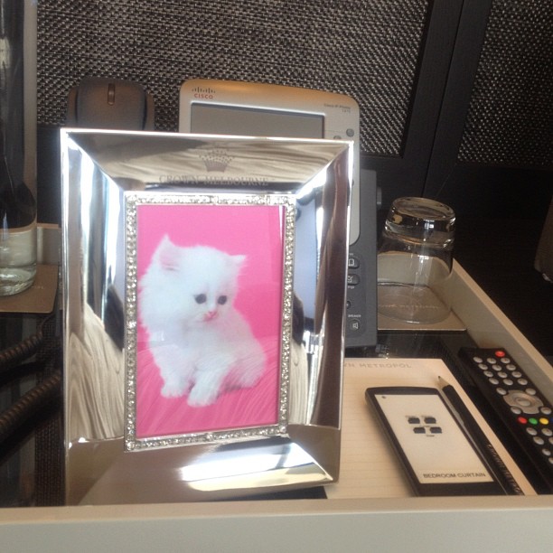 How cute is my hotel in Melbourne!!! They put a pic of Mercy by my bed!...