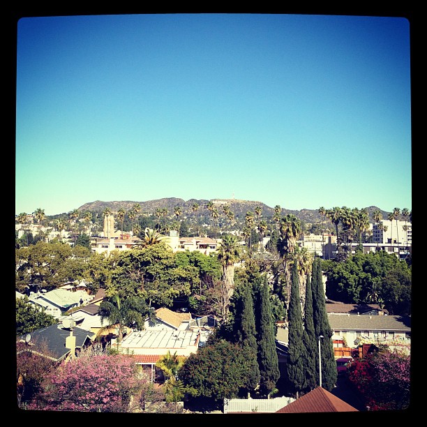 Hollywood ...