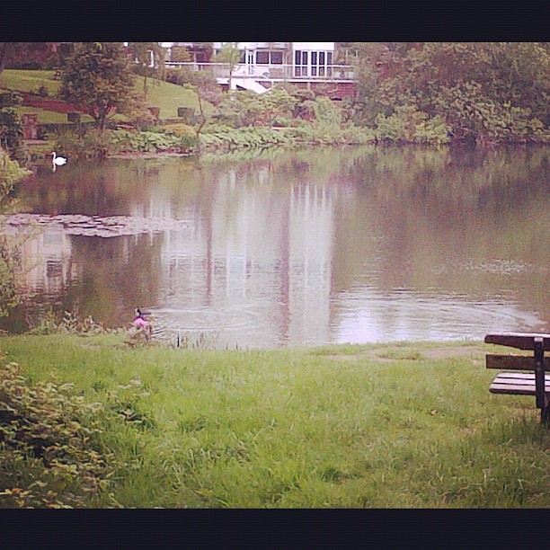 Looks like a scene from The Notebook #heaven...