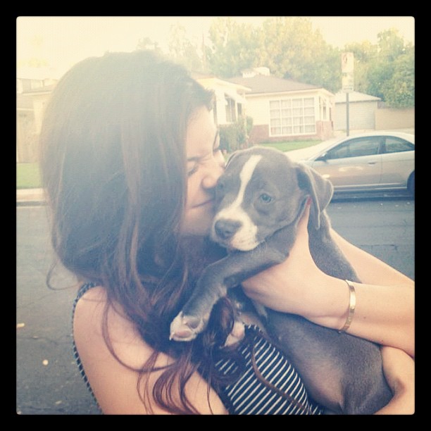 Hi puppy  @stassiebabeyy...