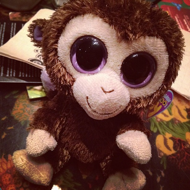 Meet Coconut :)...