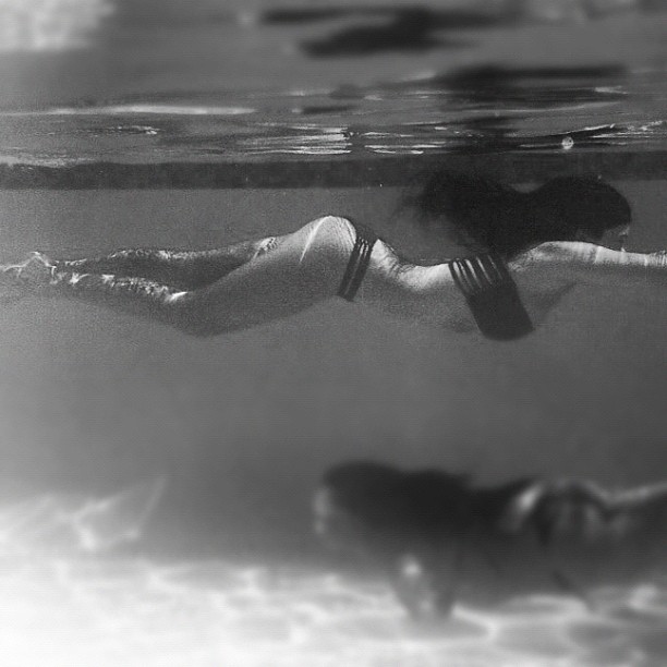 Domesticated Paradise, Palm Trees and Pools -Frank Ocean...
