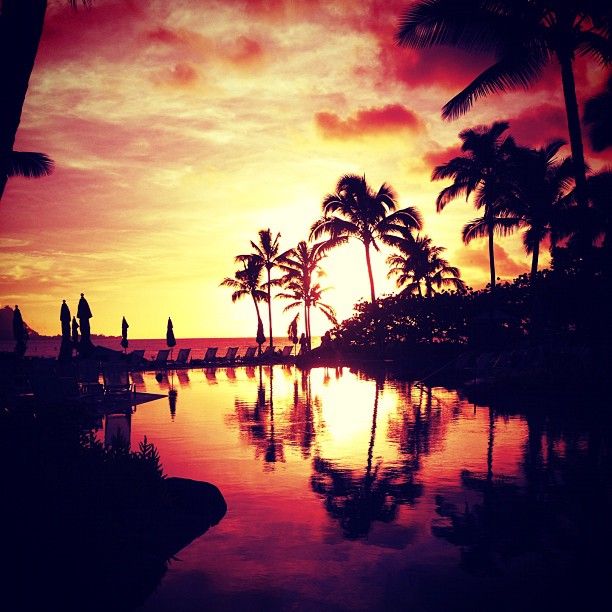 In paradise ...