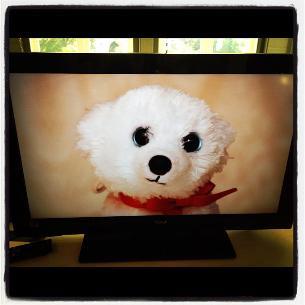 COTTONS ON TV!!!!!!!!!!!!!!!!!!!!!!...