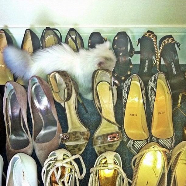 Please have Mercy on my shoes...