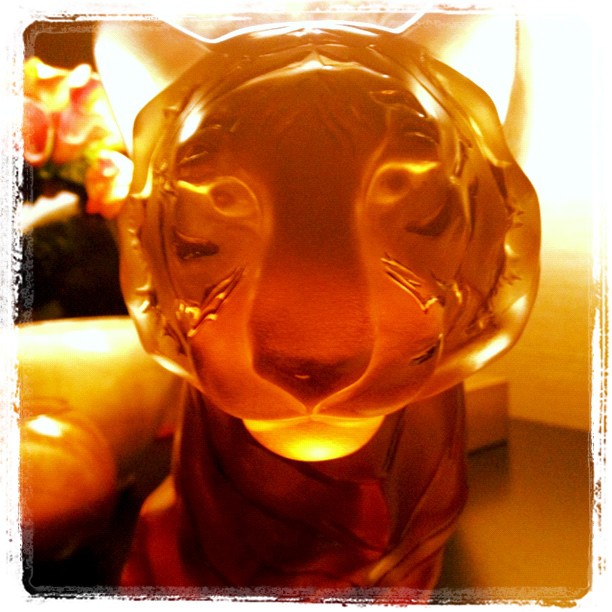 Roarrrrrrrr...