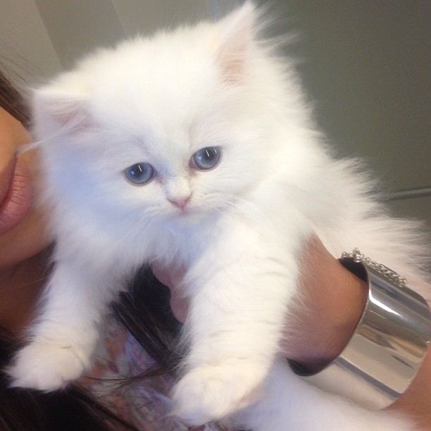 Fluffy...