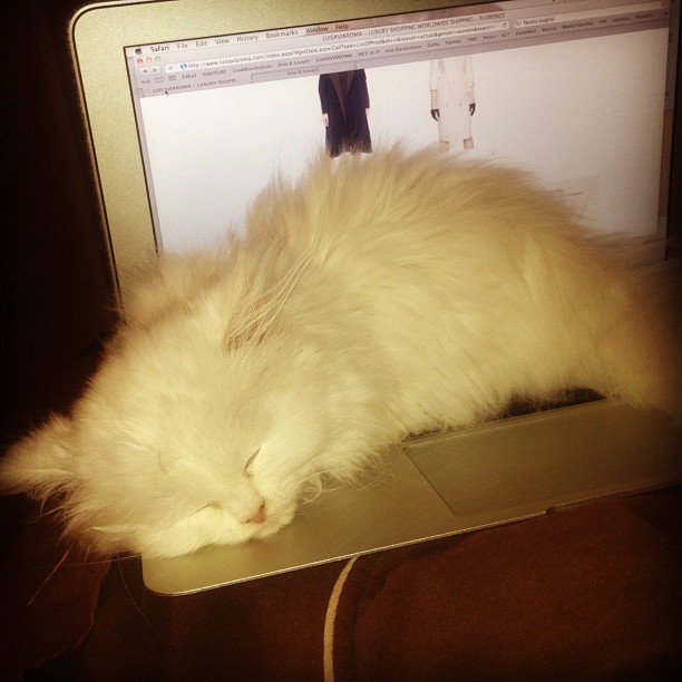 No more online shopping for me!...