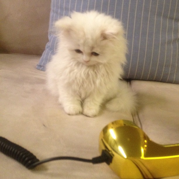 Too cute!!!! ...