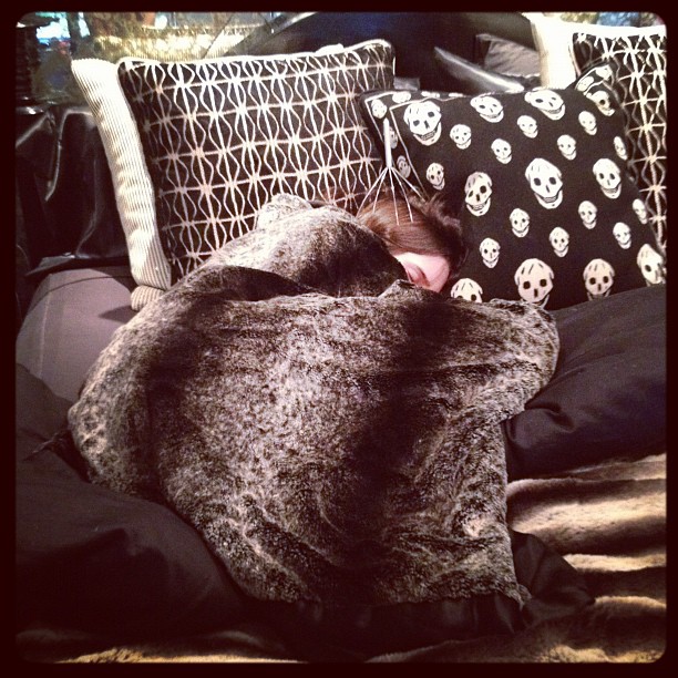 Aw baby Kenya fell asleep on my bed curled up in a lil ball with the head scratc...