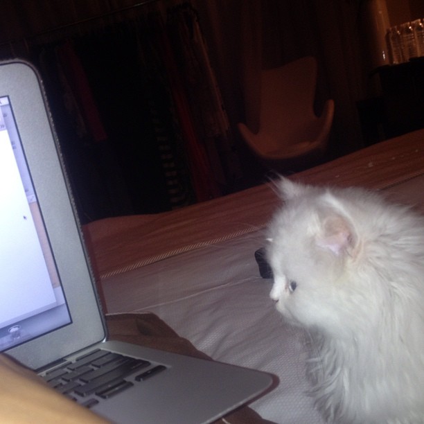 We're catching up on emails together!...