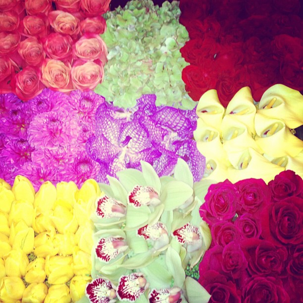 Nothing like gorgeous flowers!...
