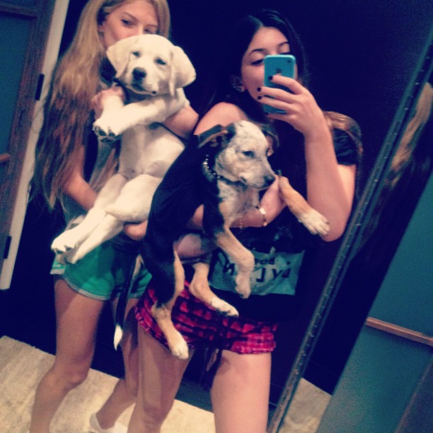 Puppy love  nacho and jackson have a play date  @zoeegordon...