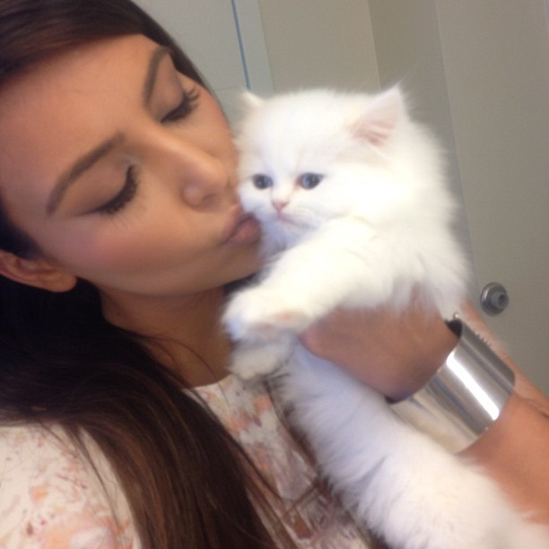 Kisses kitty ...