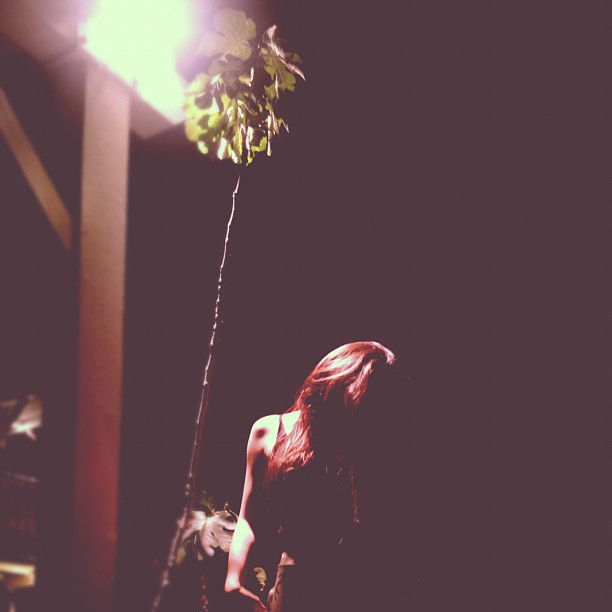 Kendall stole this pic to make it look like it was her .......