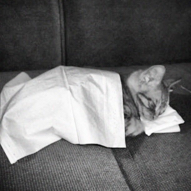 Night ...
