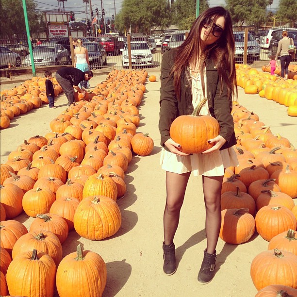 Pumpkin Patch ...