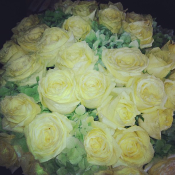 Roses and hydrangeas...