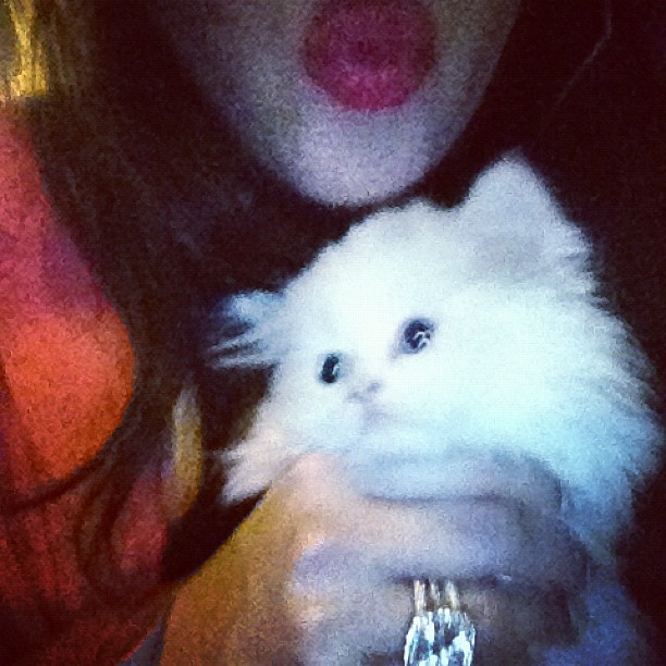 Smooches...