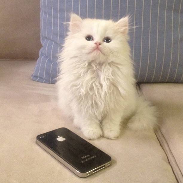 Call me maybe?!?...